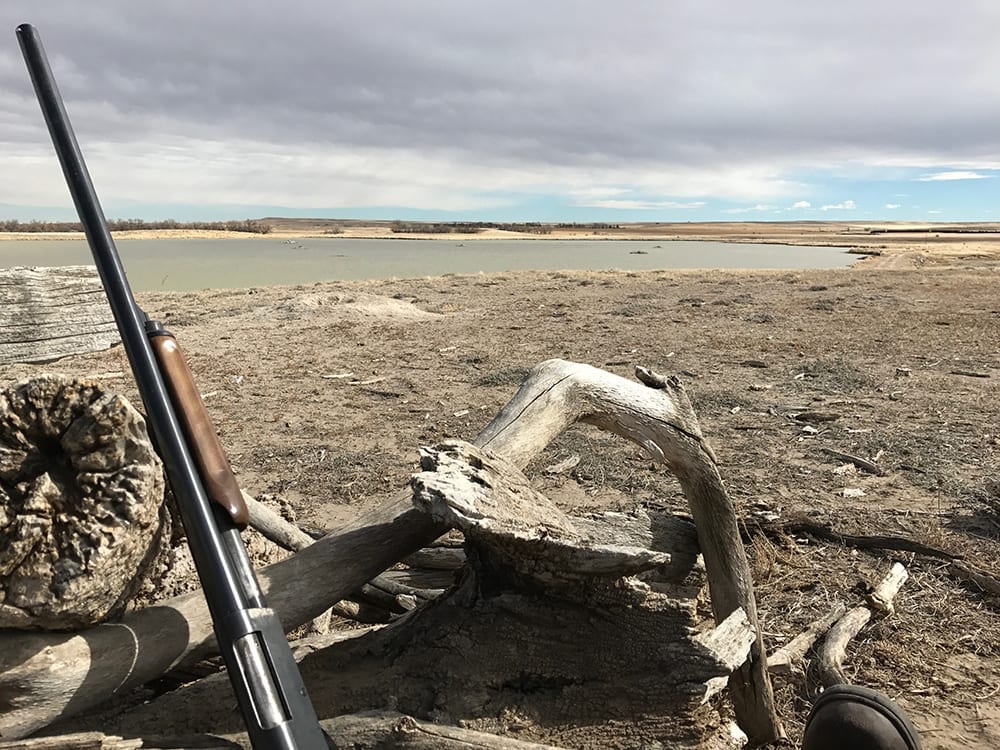 Snow Geese Hunting Jeep Cherokee