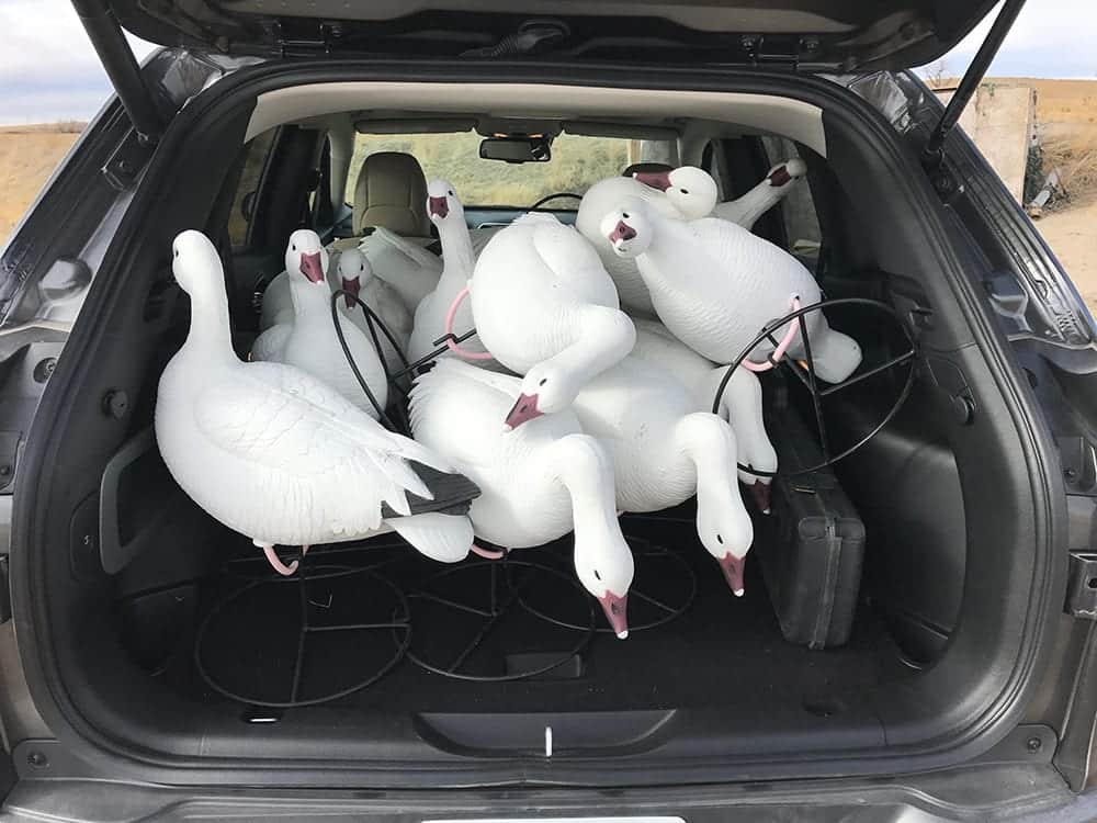 Snow Geese Hunting Jeep Cherokee