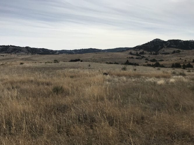 Review: Is the 2017 Nissan Titan XD King Cab a Good Pheasant Hunting Pickup?