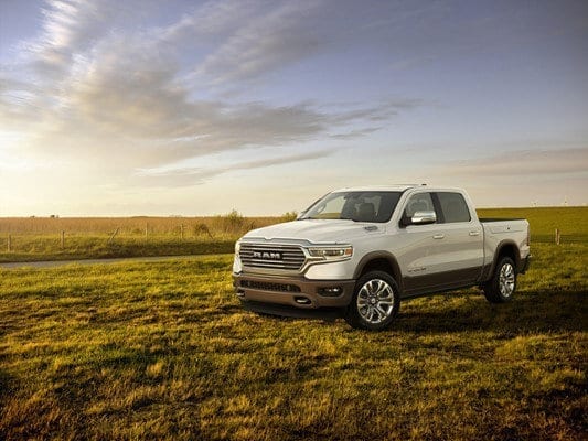 Laramie Longhorn