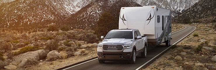 Laramie Longhorn