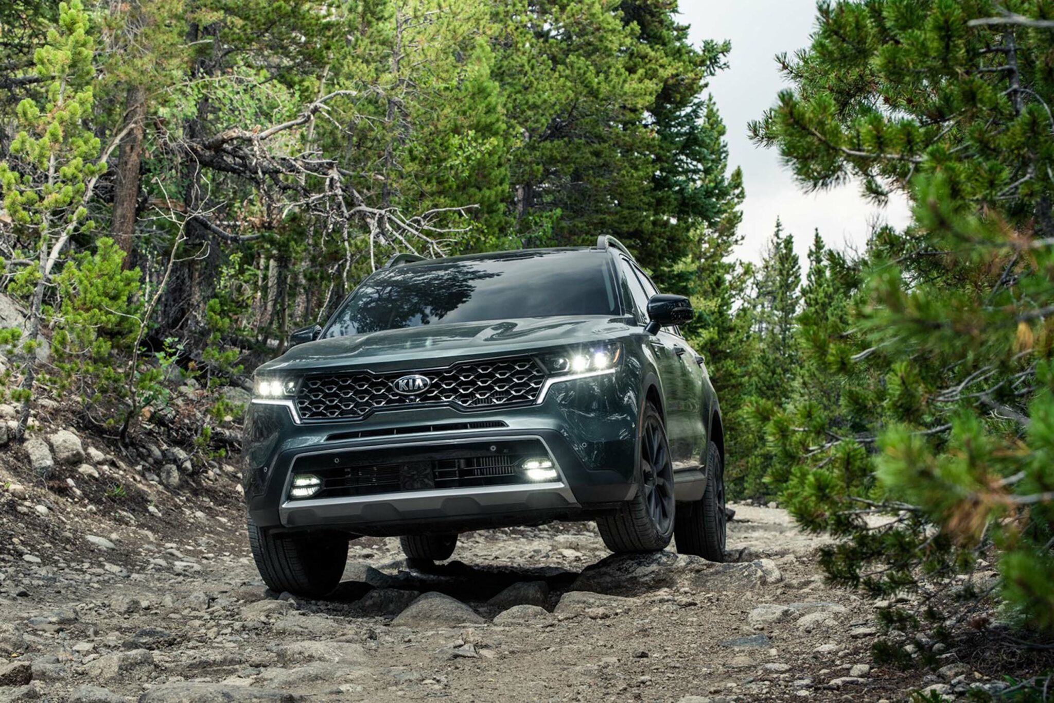 2021 Sorento