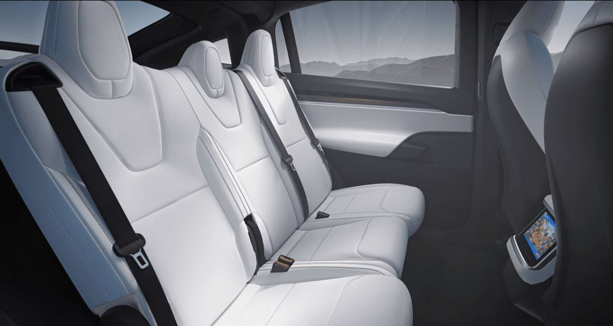 Model X interior