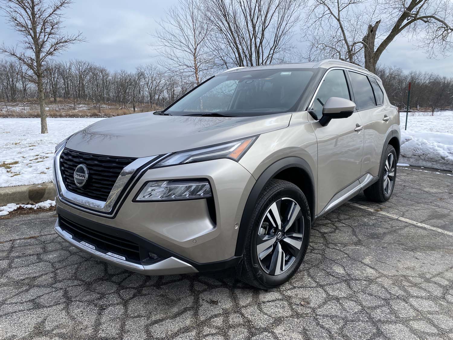 2021 Rogue