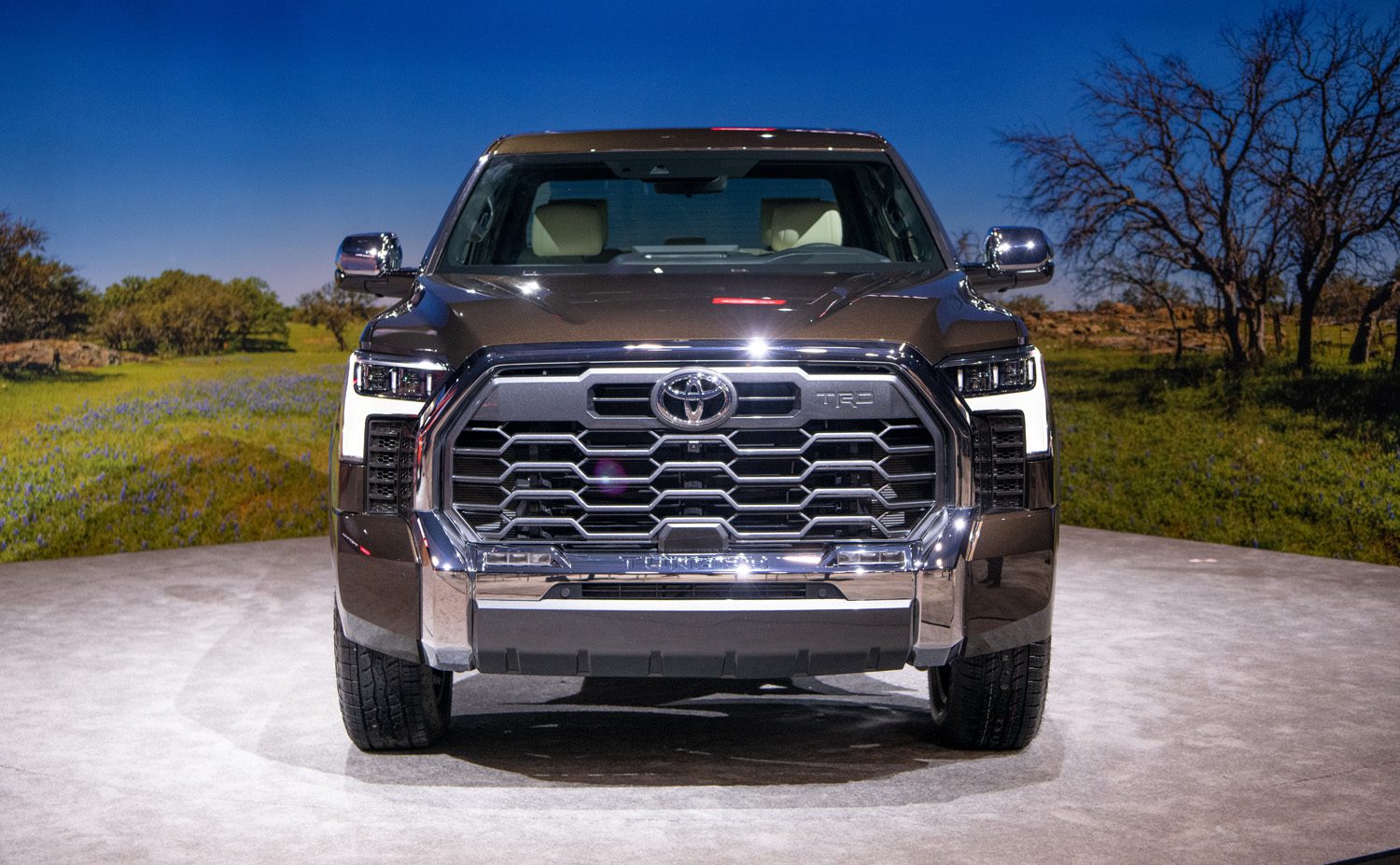 1794 Tundra Grille