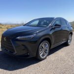 2022 Lexus NX