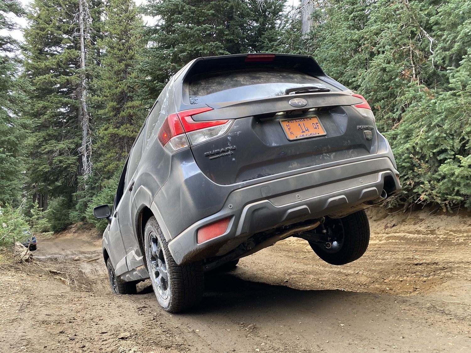 Forester Wilderness