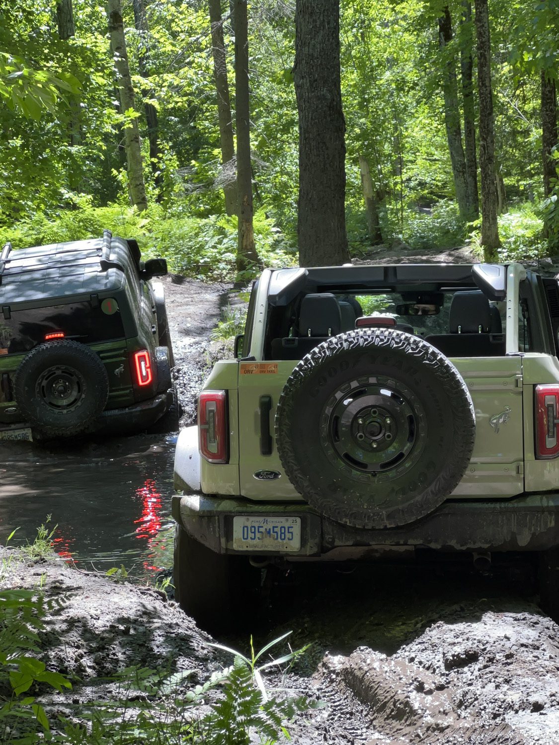 2022 Ford Bronco Everglades
