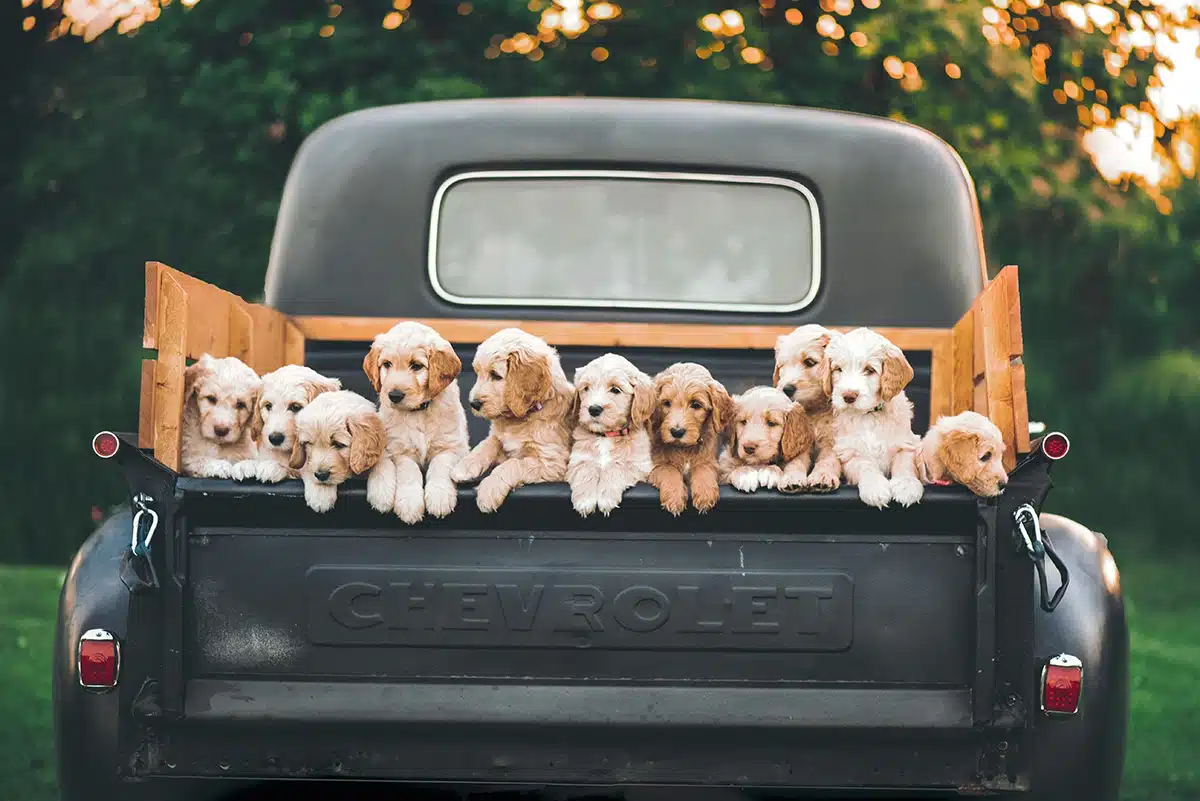 gift ideas for truck lovers