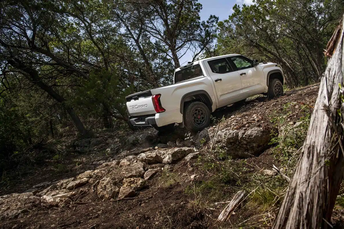 Consumer Reports Reliability Crown 1