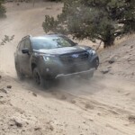 Forester Wilderness